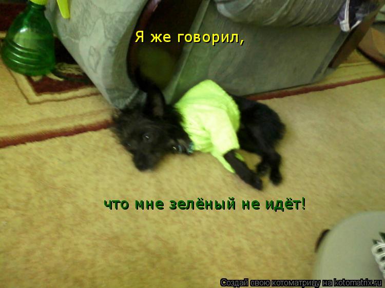 Я же говорил, что мне зелёный не идёт!... Котоматрица: Я же говорил, что мне зелёный не идёт!