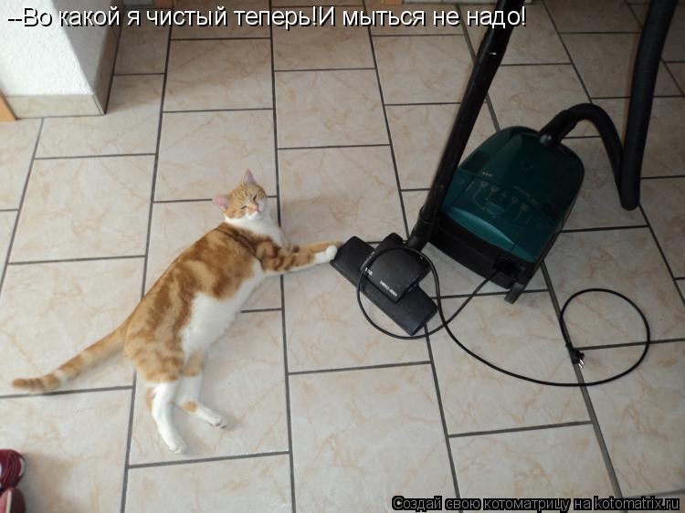 --Во какой я чистый теперь!И мыться не надо!... Котоматрица: --Во какой я чистый теперь!И мыться не надо!