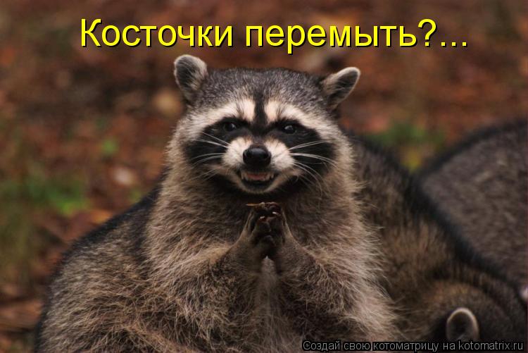 Косточки перемыть?...... Котоматрица: Косточки перемыть?...