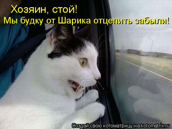 Хозяин, стой! Мы будку от Шарика отцепить забыли!... Котоматрица: Хозяин, стой! Мы будку от Шарика отцепить забыли!