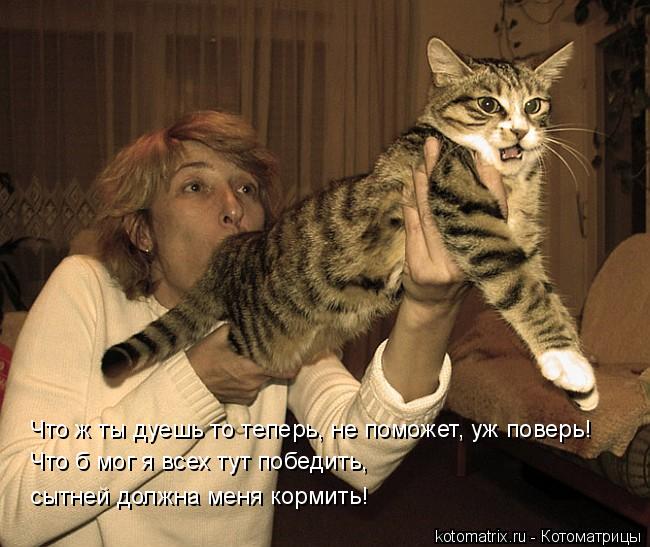 Что ж ты дуешь то теперь, не поможет, уж поверь! Что б мог я всех тут победить, сытней должна меня ... Котоматрица: Что ж ты дуешь то теперь, не поможет, уж поверь! Что б мог я всех тут победить, сытней должна меня кормить!