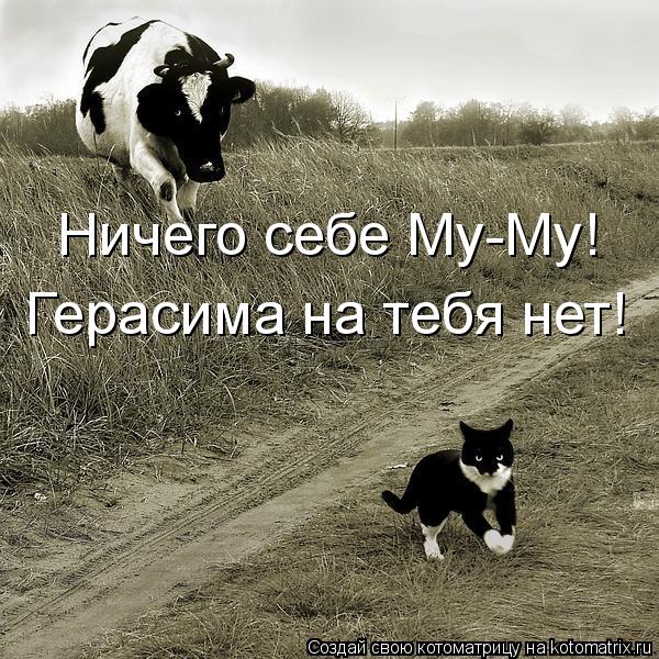 Котоматрица: Ничего себе Му-Му! Герасима на тебя нет!