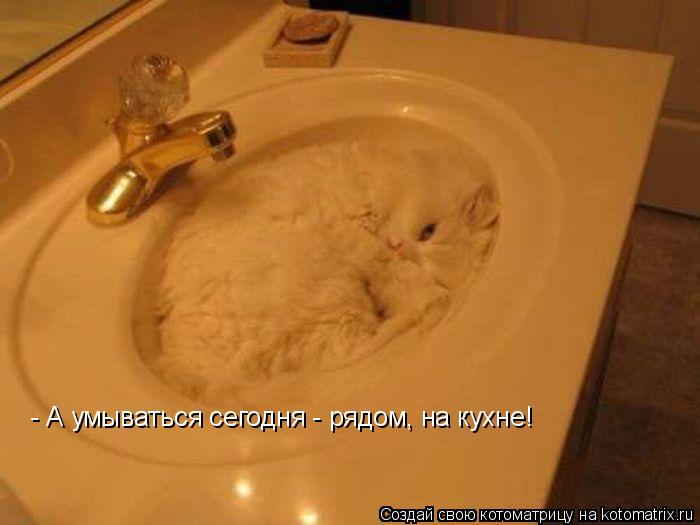 - А умываться сегодня - рядом, на кухне!... Котоматрица: - А умываться сегодня - рядом, на кухне!