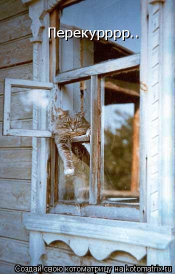 Перекурррр..... Котоматрица: Перекурррр..