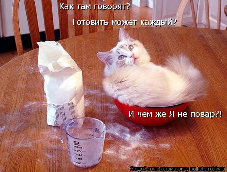 Как там говорят? Готовить может каждый? И чем же Я не повар?!... Котоматрица: Как там говорят? Готовить может каждый? И чем же Я не повар?!