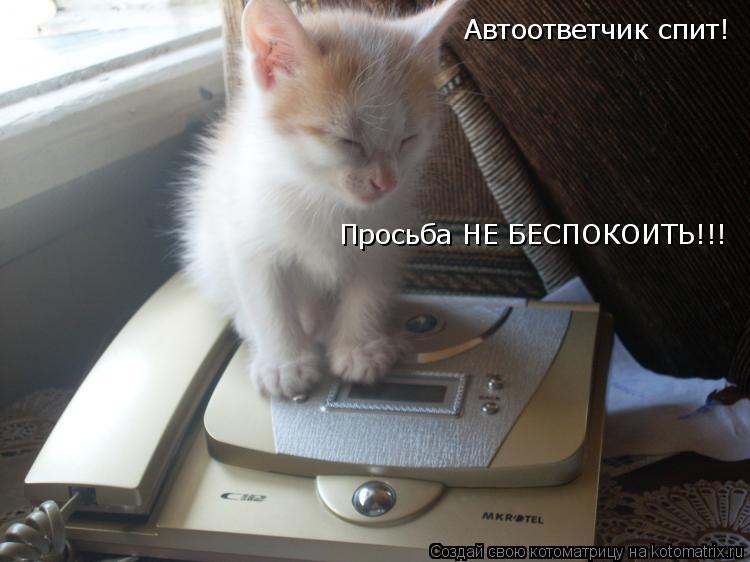 Автоответчик спит! Просьба НЕ БЕСПОКОИТЬ!!!... Котоматрица: Автоответчик спит! Просьба НЕ БЕСПОКОИТЬ!!!