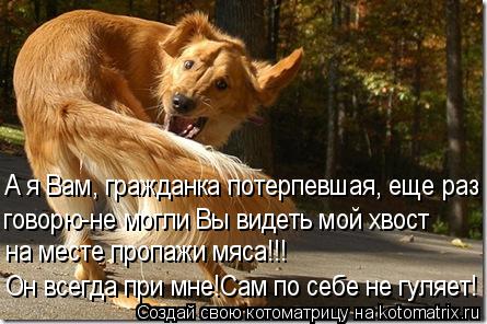 А я Вам, гражданка потерпевшая, еще раз говорю-не могли Вы видеть мой хвост на месте пропажи мяса!!! ... Котоматрица: А я Вам, гражданка потерпевшая, еще раз говорю-не могли Вы видеть мой хвост на месте пропажи мяса!!! Он всегда при мне!Сам по себе не гуляет!