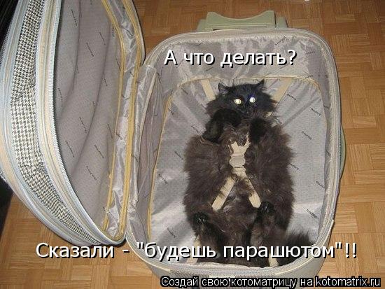 А что делать? Сказали - "будешь парашютом"!!... Котоматрица: А что делать? Сказали - "будешь парашютом"!!