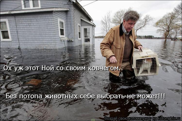 Ох уж этот Ной со своим ковчегом.. Без потопа животных себе выбрать не может!!!... Котоматрица: Ох уж этот Ной со своим ковчегом.. Без потопа животных себе выбрать не может!!!