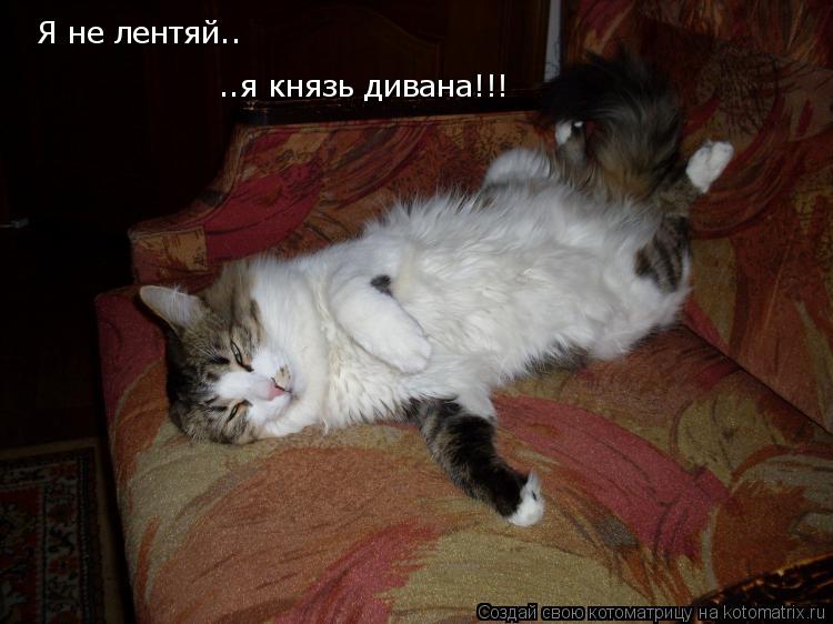 Я не лентяй.. ..я князь дивана!!!... Котоматрица: Я не лентяй.. ..я князь дивана!!!