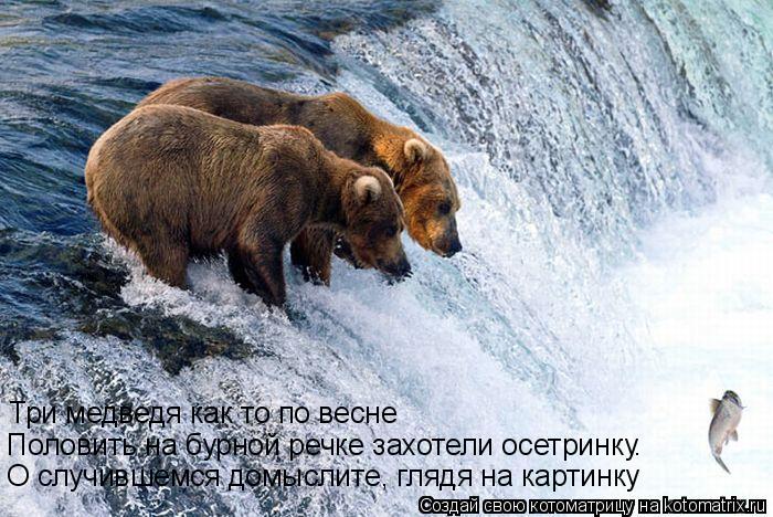 О случившемся домыслите, глядя на картинку Половить на бурной речке захотели осетринку. Три медведя к... Котоматрица: О случившемся домыслите, глядя на картинку Половить на бурной речке захотели осетринку. Три медведя как то по весне