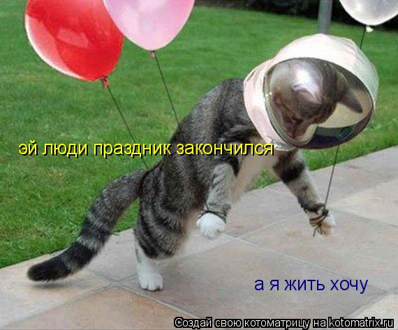 эй люди праздник закончился а я жить хочу... Котоматрица: эй люди праздник закончился а я жить хочу