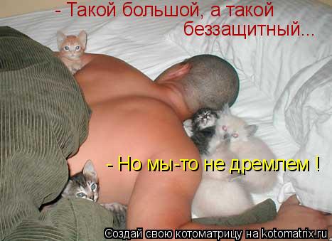 - Такой большой, а такой беззащитный... - Но мы-то не дремлем !... Котоматрица: - Такой большой, а такой беззащитный... - Но мы-то не дремлем !