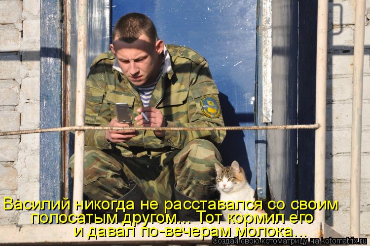 Василий никогда не расставался со своим полосатым другом... Тот кормил его и давал по-вечерам молока... Котоматрица: Василий никогда не расставался со своим полосатым другом... Тот кормил его и давал по-вечерам молока...