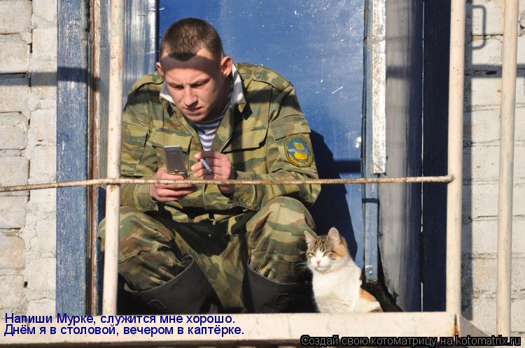 Напиши Мурке, служится мне хорошо. Днём я в столовой, вечером в каптёрке.... Котоматрица: Напиши Мурке, служится мне хорошо. Днём я в столовой, вечером в каптёрке.
