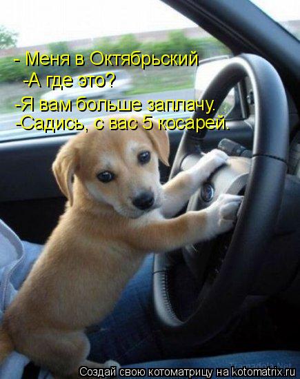 - Меня в Октябрьский -А где это? -А где это? -Я вам больше заплачу. -Садись, с вас 5 косарей.... Котоматрица: - Меня в Октябрьский -А где это? -А где это? -Я вам больше заплачу. -Садись, с вас 5 косарей.