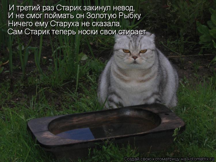 Котоматрица: И третий раз Старик закинул невод, И не смог поймать он Золотую Рыбку. Ничего ему Старуха не сказала, Сам Старик теперь носки свои стирает