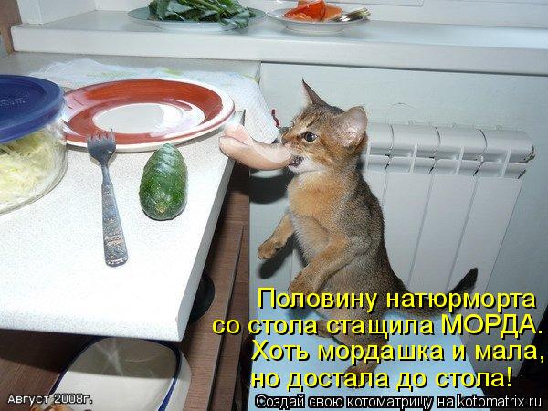 Котоматрица: со стола стащила МОРДА. Хоть мордашка и мала,  но достала до стола! Половину натюрморта
