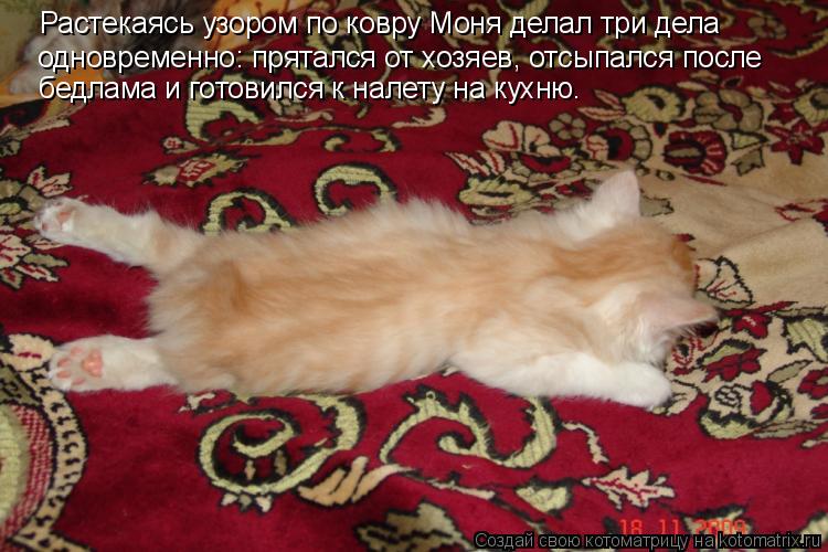 Растекаясь узором по ковру Моня делал три дела одновременно: прятался от хозяев, отсыпался после бедл... Котоматрица: Растекаясь узором по ковру Моня делал три дела одновременно: прятался от хозяев, отсыпался после бедлама и готовился к налету на кухню.