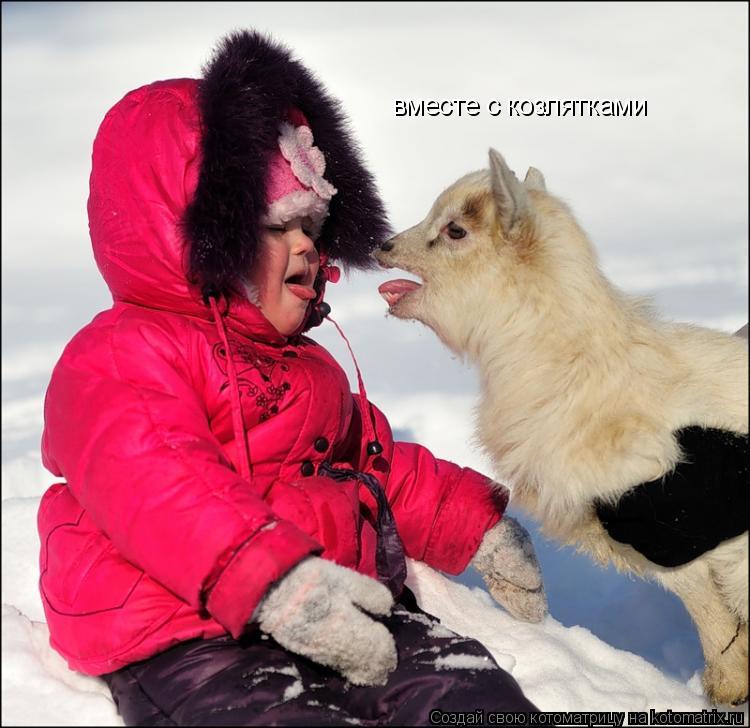 вместе с козлятками... Котоматрица: вместе с козлятками