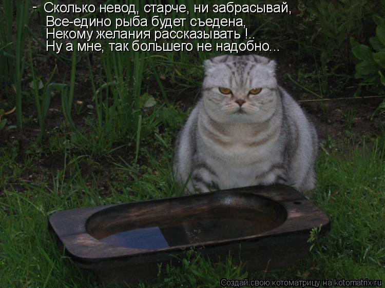 Сколько невод, старче, ни забрасывай, Все-едино рыба будет съедена, Некому желания рассказывать !.. Н... Котоматрица: Сколько невод, старче, ни забрасывай, Все-едино рыба будет съедена, Некому желания рассказывать !.. Ну а мне, так большего не надобно... -