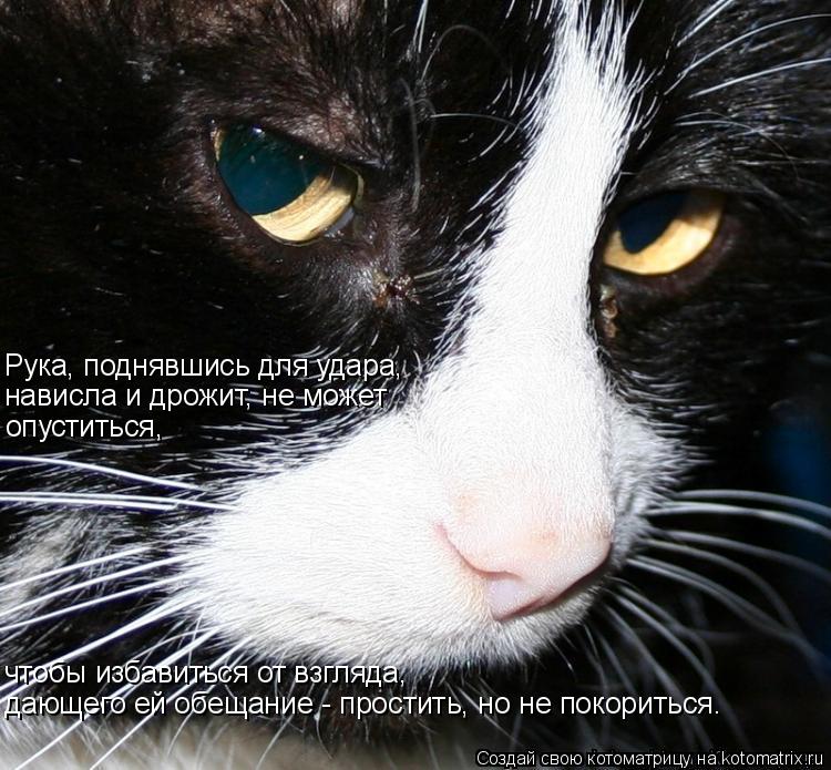 Рука, поднявшись для удара, нависла и дрожит, не может чтобы избавиться от взгляда, дающего ей обещан... Котоматрица: Рука, поднявшись для удара, нависла и дрожит, не может чтобы избавиться от взгляда, дающего ей обещание - простить, но не покориться. опустит