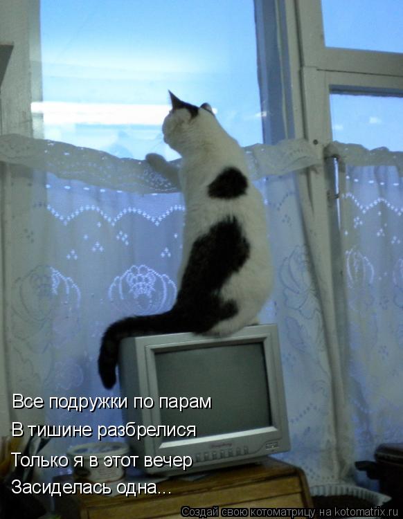 Все подружки по парам В тишине разбрелися Только я в этот вечер Засиделась одна...... Котоматрица: Все подружки по парам В тишине разбрелися Только я в этот вечер Засиделась одна...