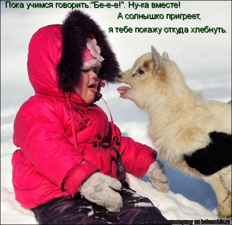 Пока учимся говорить:"Бе-е-е!". Ну-ка вместе! А солнышко пригреет, я тебе покажу откуда хлебнуть.... Котоматрица: Пока учимся говорить:"Бе-е-е!". Ну-ка вместе! А солнышко пригреет, я тебе покажу откуда хлебнуть.