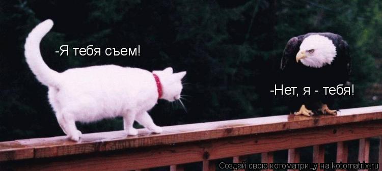 -Я тебя съем! -Нет, я - тебя!... Котоматрица: -Я тебя съем! -Нет, я - тебя!