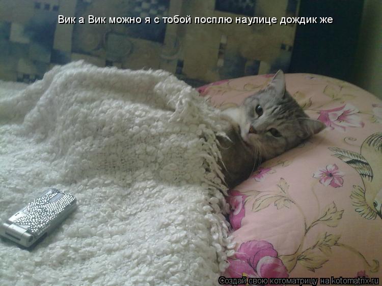 Вик а Вик можно я с тобой посплю наулице дождик же... Котоматрица: Вик а Вик можно я с тобой посплю наулице дождик же