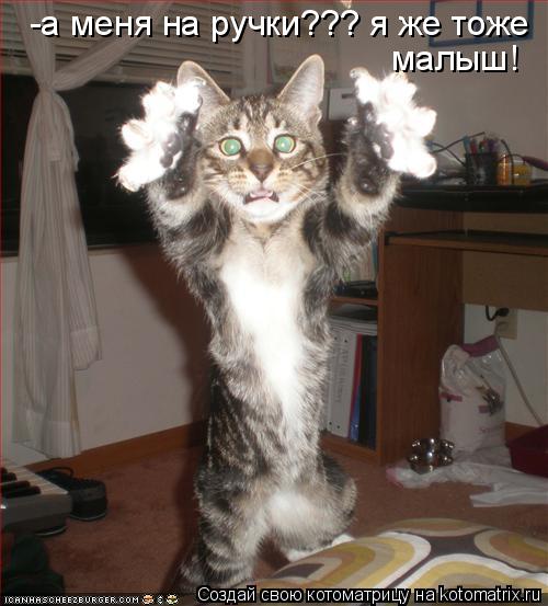 -а меня на ручки??? я же тоже малыш!... Котоматрица: -а меня на ручки??? я же тоже малыш!