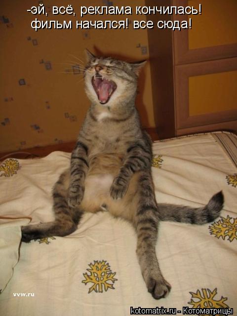 -эй, всё, реклама кончилась! фильм начался! все сюда!... Котоматрица: -эй, всё, реклама кончилась! фильм начался! все сюда!