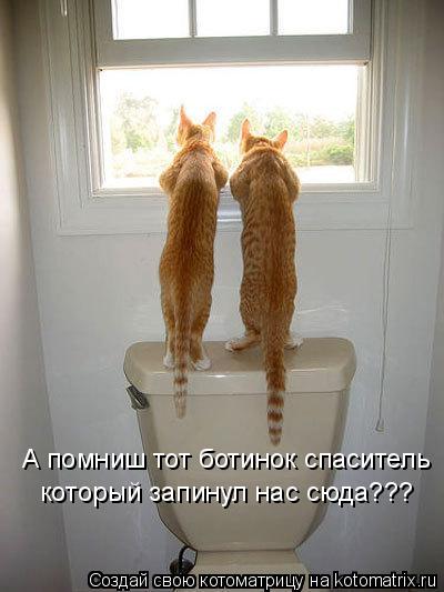 А помниш тот ботинок спаситель который запинул нас сюда???... Котоматрица: А помниш тот ботинок спаситель который запинул нас сюда???