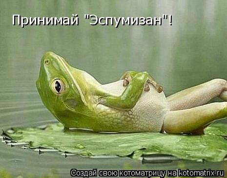 Принимай "Эспумизан"!... Котоматрица: Принимай "Эспумизан"!