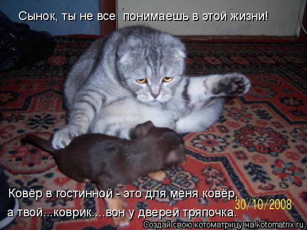 Сынок, ты не все понимаешь в этой жизни! Ковёр в гостинной - это для меня ковёр, а твой...коврик....... Котоматрица: Сынок, ты не все понимаешь в этой жизни! Ковёр в гостинной - это для меня ковёр, а твой...коврик....вон у дверей тряпочка.
