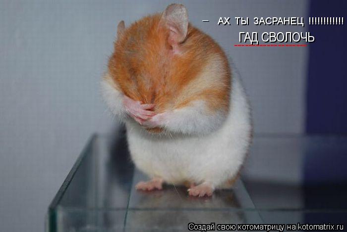 АХ ТЫ ЗАСРАНЕЦ !!!!!!!!!!!! ГАД СВОЛОЧЬ -------------------- _... Котоматрица: АХ ТЫ ЗАСРАНЕЦ !!!!!!!!!!!! ГАД СВОЛОЧЬ -------------------- _