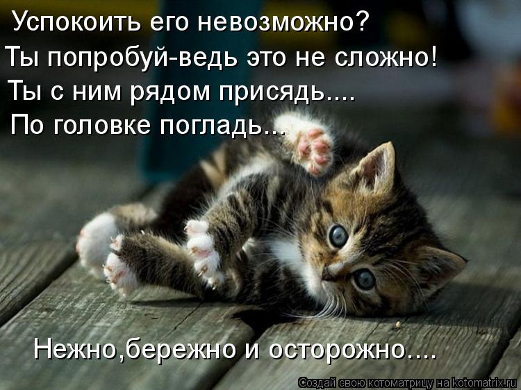 Успокоить его невозможно? Ты попробуй-ведь это не сложно! Ты с ним рядом присядь.... По головке погла... Котоматрица: Успокоить его невозможно? Ты попробуй-ведь это не сложно! Ты с ним рядом присядь.... По головке погладь... Нежно,бережно и осторожно....