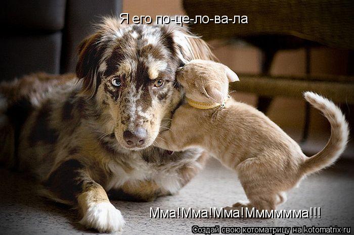Я его по-це-ло-ва-ла Мма!Мма!Мма!Мммммма!!!... Котоматрица: Я его по-це-ло-ва-ла Мма!Мма!Мма!Мммммма!!!