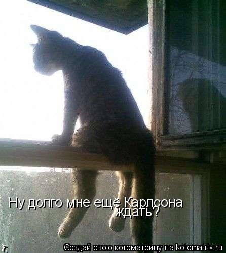 Ну долго мне ещё Карлсона ждать?... Котоматрица: Ну долго мне ещё Карлсона ждать?