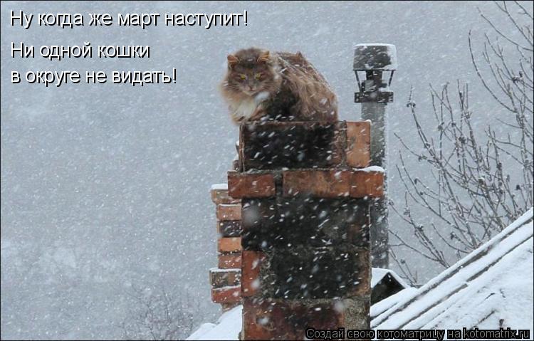 Ну когда же март наступит! Ну когда же март наступит! Ни одной кошки Ни одной кошки в округе не видат... Котоматрица: Ну когда же март наступит! Ну когда же март наступит! Ни одной кошки Ни одной кошки в округе не видать!