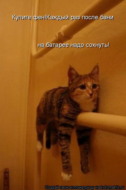 Купите фен!Каждый раз после бани на батарее надо сохнуть!... Котоматрица: Купите фен!Каждый раз после бани на батарее надо сохнуть!