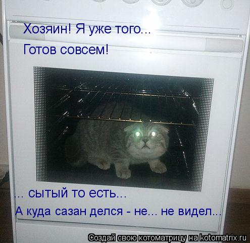 Хозяин! Я уже того... Готов совсем! ... сытый то есть... А куда сазан делся - не... не видел...... Котоматрица: Хозяин! Я уже того... Готов совсем! ... сытый то есть... А куда сазан делся - не... не видел...