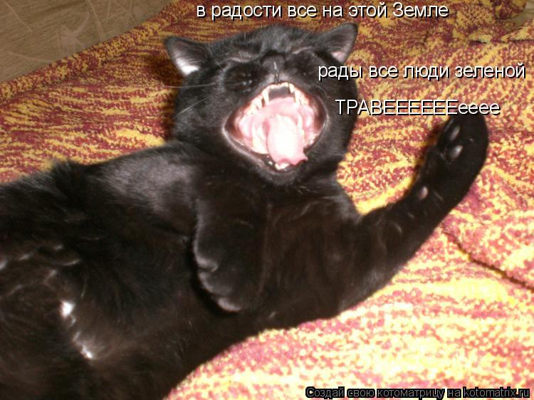 ТРАВЕЕЕЕЕЕееее рады все люди зеленой в радости все на этой Земле... Котоматрица: ТРАВЕЕЕЕЕЕееее рады все люди зеленой в радости все на этой Земле