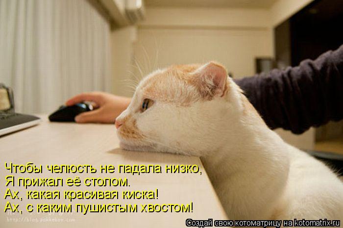 Чтобы челюсть не падала низко, Я прижал её столом. Ах, какая красивая киска! Ах, с каким пушистым хво... Котоматрица: Чтобы челюсть не падала низко, Я прижал её столом. Ах, какая красивая киска! Ах, с каким пушистым хвостом!