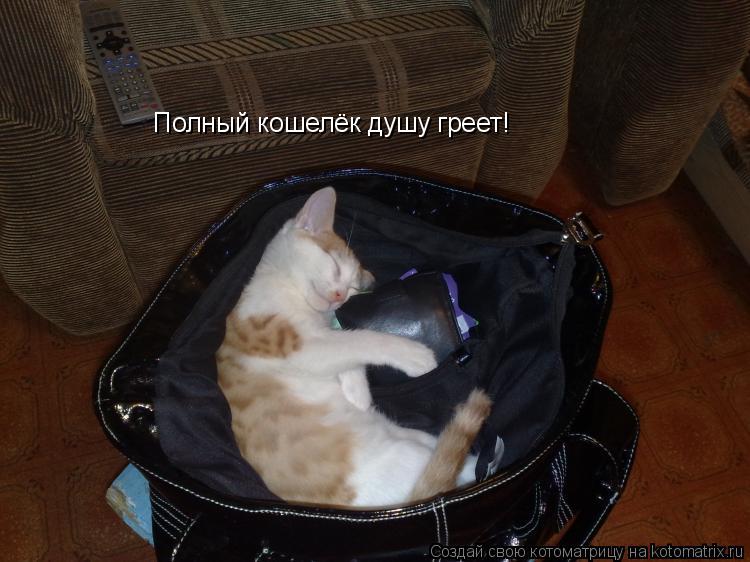 Полный кошелёк душу греет!... Котоматрица: Полный кошелёк душу греет!