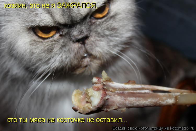 хозяин, это не я ЗАЖРАЛСЯ, это ты мяса на косточке не оставил...... Котоматрица: хозяин, это не я ЗАЖРАЛСЯ, это ты мяса на косточке не оставил...