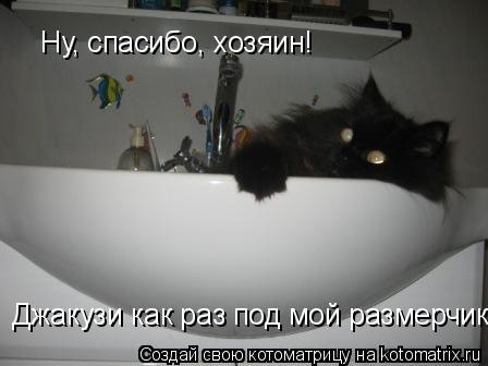 Ну, спасибо, хозяин! Джакузи как раз под мой размерчик!... Котоматрица: Ну, спасибо, хозяин! Джакузи как раз под мой размерчик!