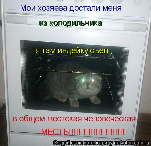 из холодильника я там индейку съел , в общем жестокая человеческая Мои хозяева достали меня МЕСТЬ!!!... Котоматрица: из холодильника я там индейку съел , в общем жестокая человеческая Мои хозяева достали меня МЕСТЬ!!!!!!!!!!!!!!!!!!!!!!!!