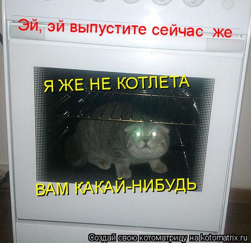 Эй, эй выпустите сейчас же Я ЖЕ НЕ КОТЛЕТА ВАМ КАКАЙ-НИБУДЬ... Котоматрица: Эй, эй выпустите сейчас же Я ЖЕ НЕ КОТЛЕТА ВАМ КАКАЙ-НИБУДЬ