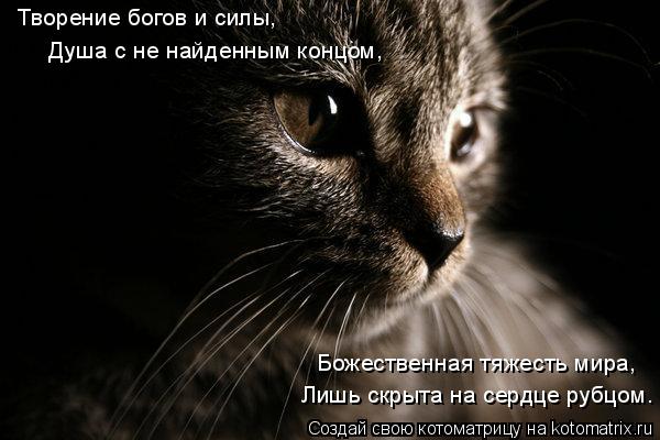 Творение богов и силы, Душа с не найденным концом, Божественная тяжесть мира, Лишь скрыта на сердце р... Котоматрица: Творение богов и силы, Душа с не найденным концом, Божественная тяжесть мира, Лишь скрыта на сердце рубцом.